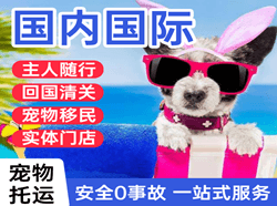 贵阳机场托运国际宠物托运 【国